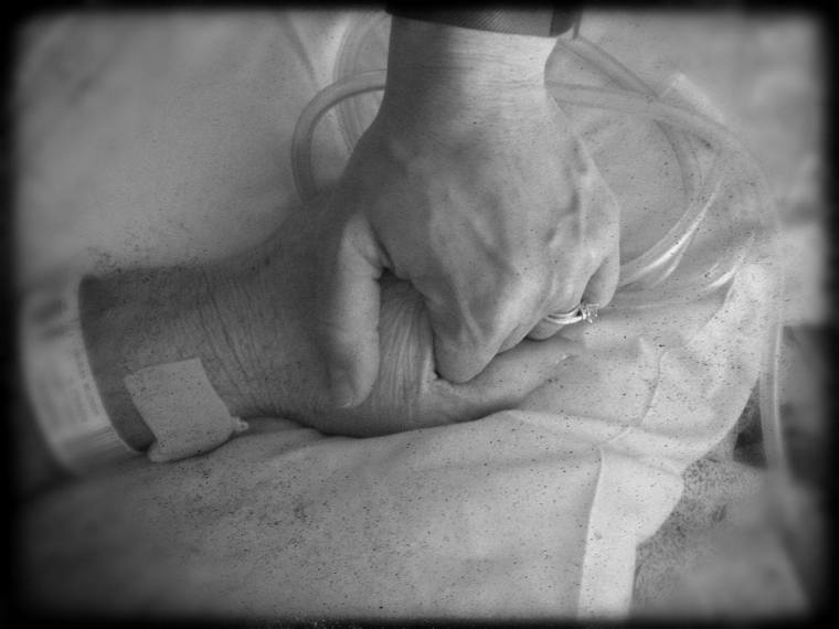 13271485_10154856847788989_148670794_o